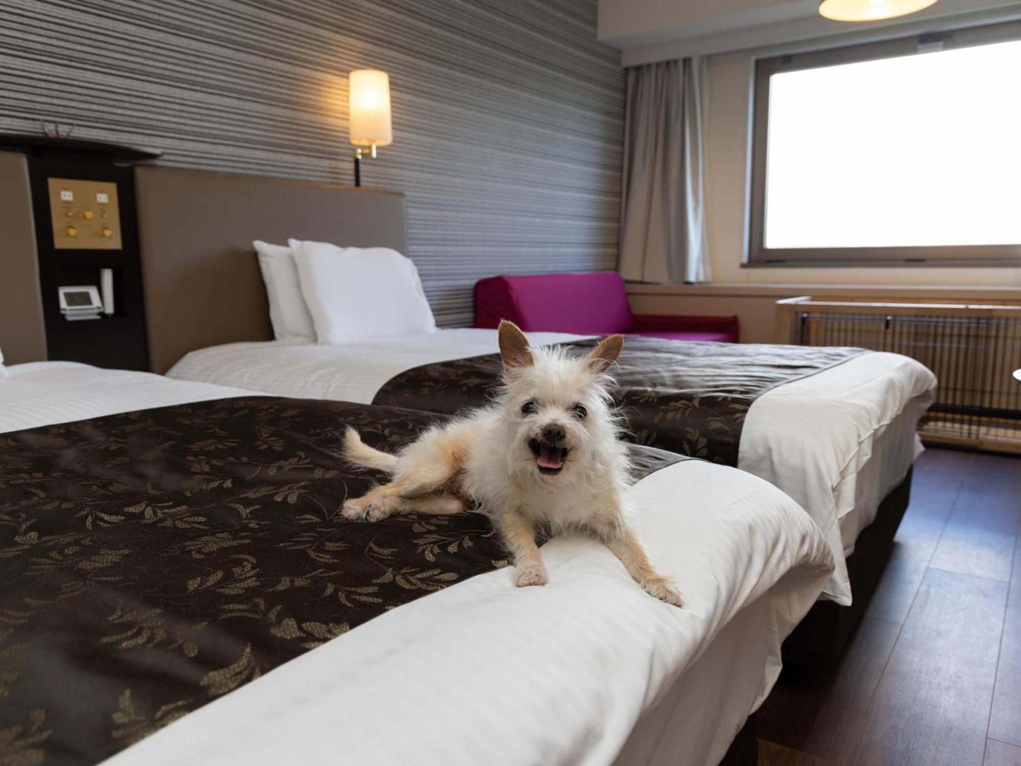 Apa Hotel & Resort Joetsu Myoko Exteriör bild